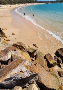 Port Macquarie-Hastings Konseyi