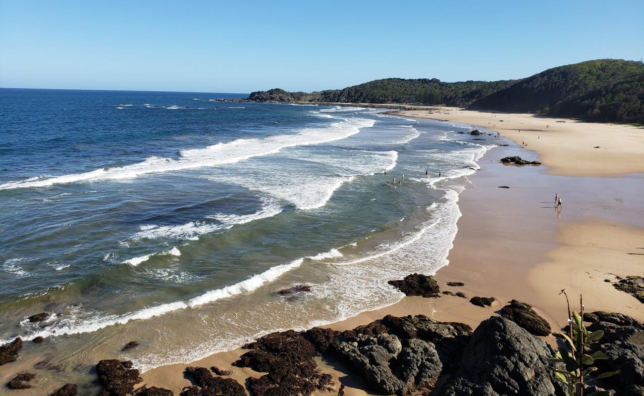 Shelly Beach'in fotoğrafı parlak ince kum yüzey ile