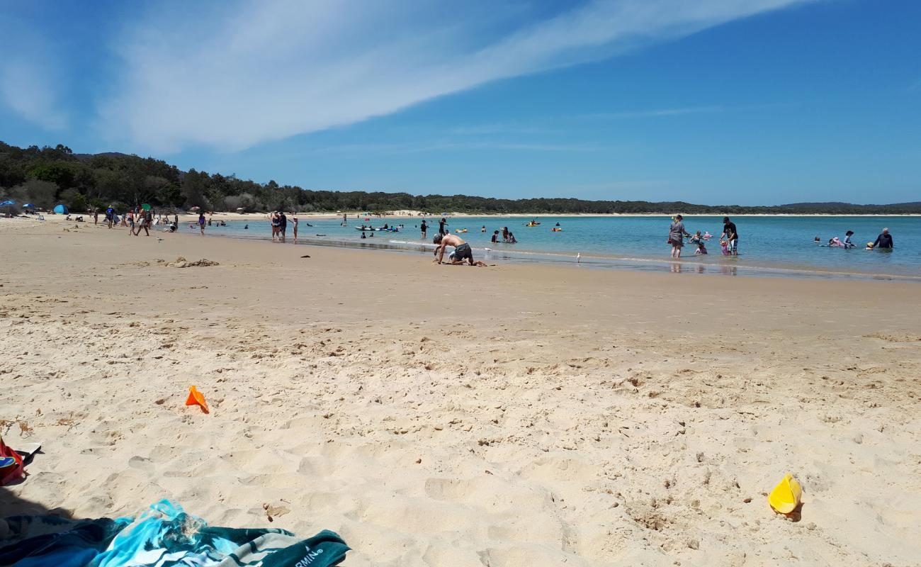 Trial Bay Gaol Beach'in fotoğrafı parlak ince kum yüzey ile