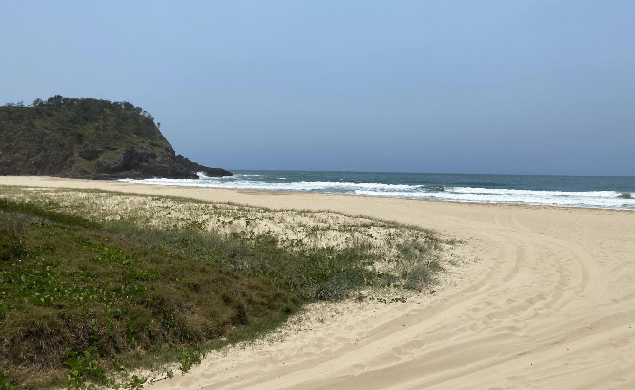 Off Leash Dog Beach'in fotoğrafı i̇nce bej kum yüzey ile