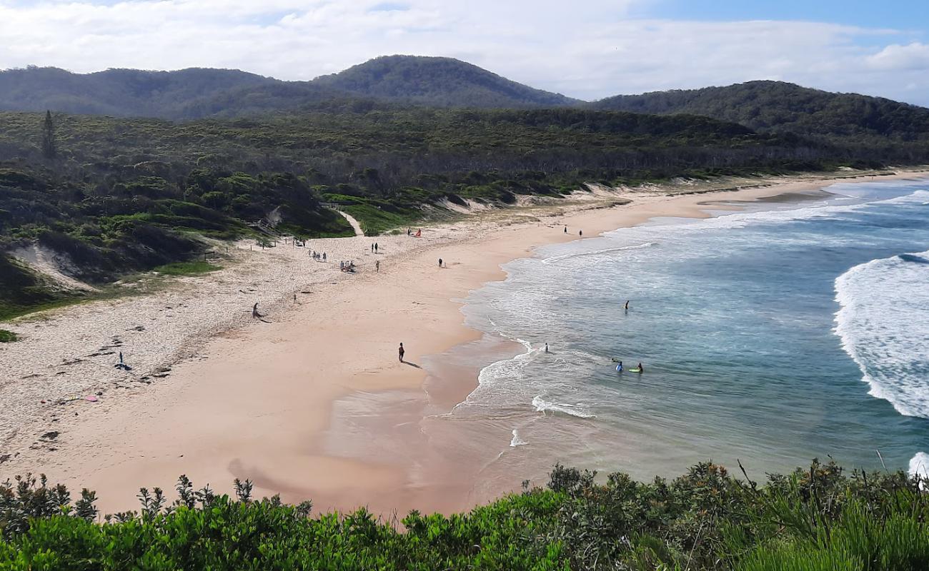 Grassy Beach'in fotoğrafı i̇nce bej kum yüzey ile