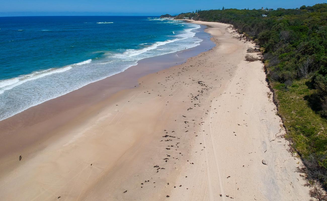 Forster Beach'in fotoğrafı parlak ince kum yüzey ile