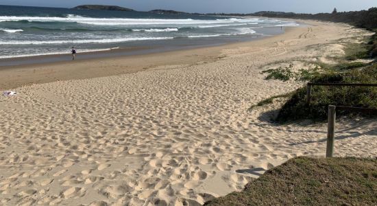 Macauleys Headland Beach