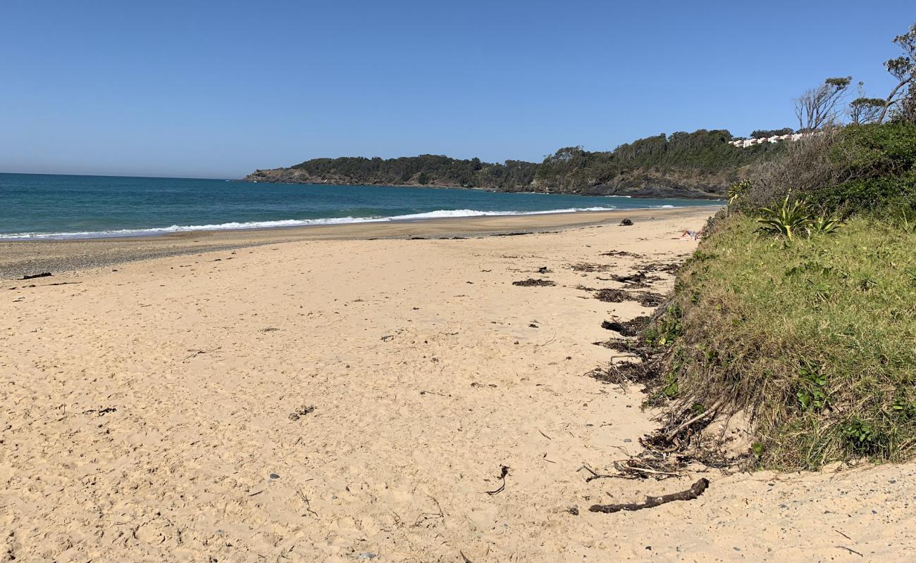 Korora Beach'in fotoğrafı açık bej kum yüzey ile