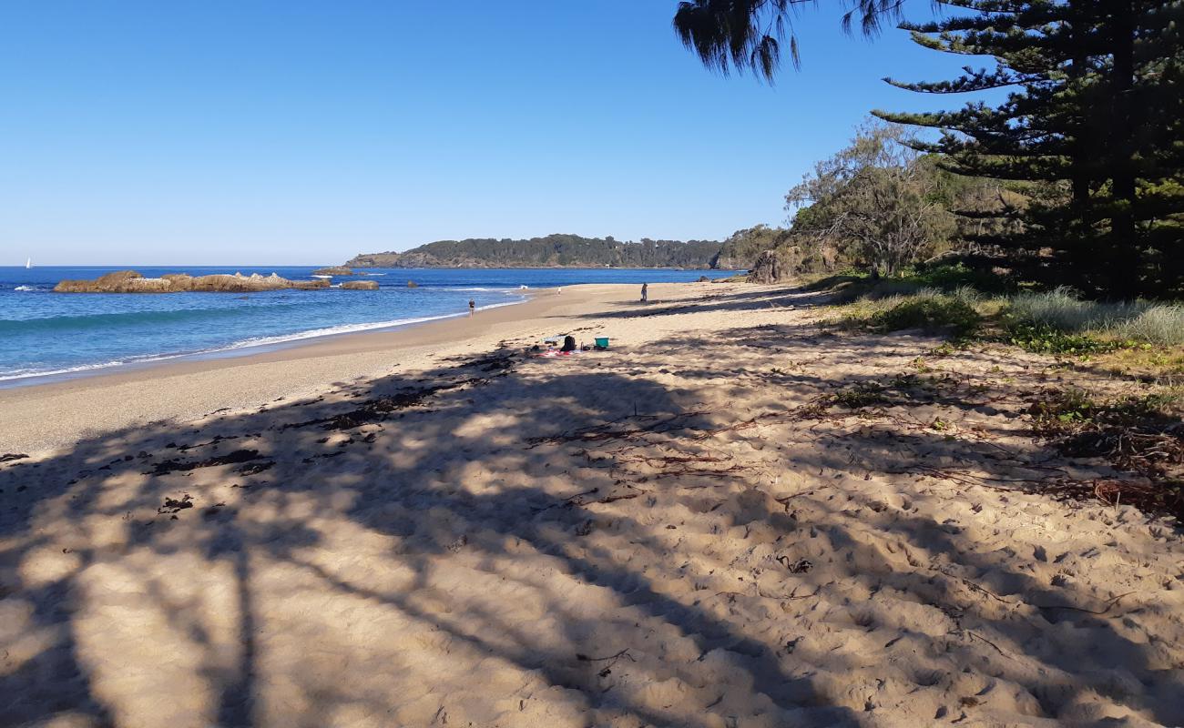 Opal Cove Beach'in fotoğrafı parlak kum yüzey ile