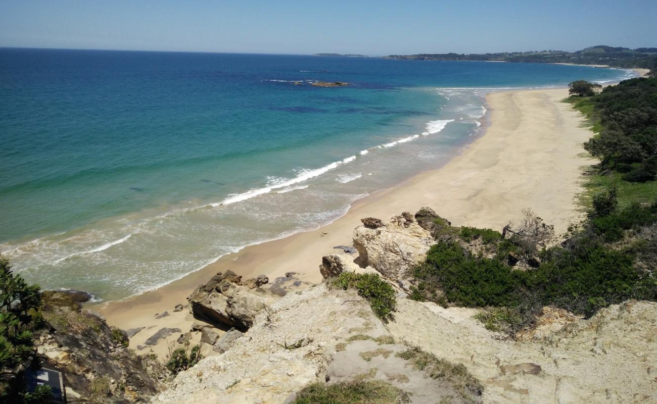 Campbells Beach'in fotoğrafı açık bej kum yüzey ile
