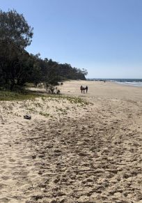 Coffs Harbour Bölgesi