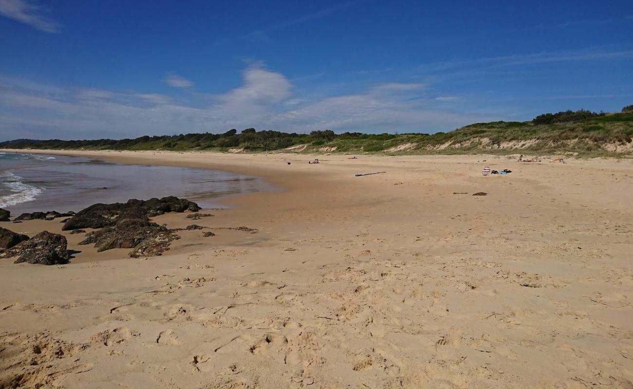 Woolgoolga Back Beach'in fotoğrafı parlak ince kum yüzey ile