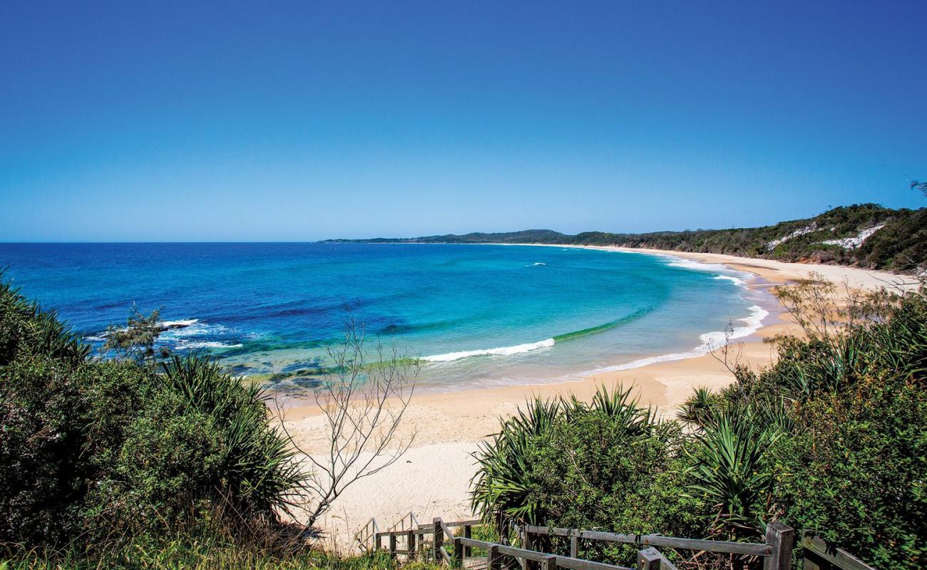 Wooli Beach'in fotoğrafı parlak kum yüzey ile