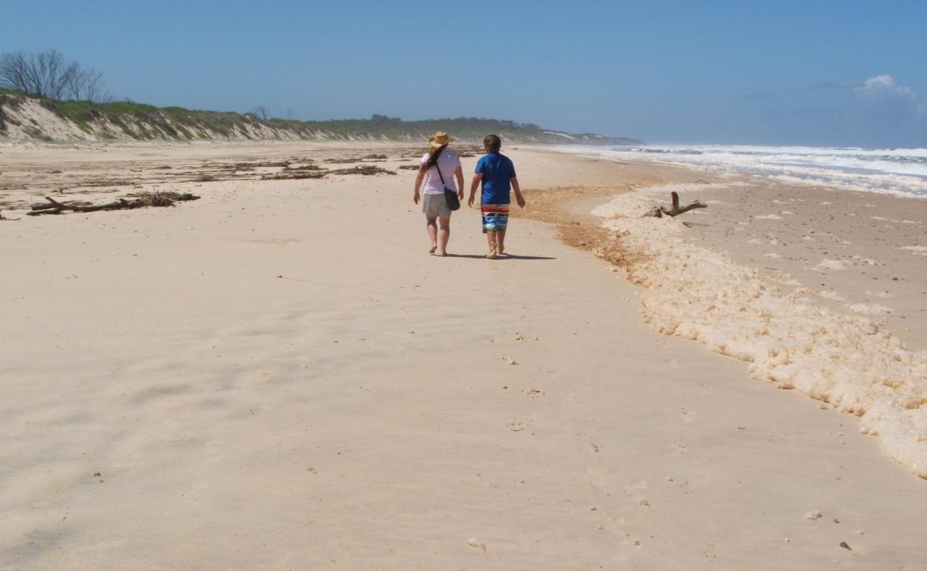 Shelley Beach'in fotoğrafı parlak kum yüzey ile