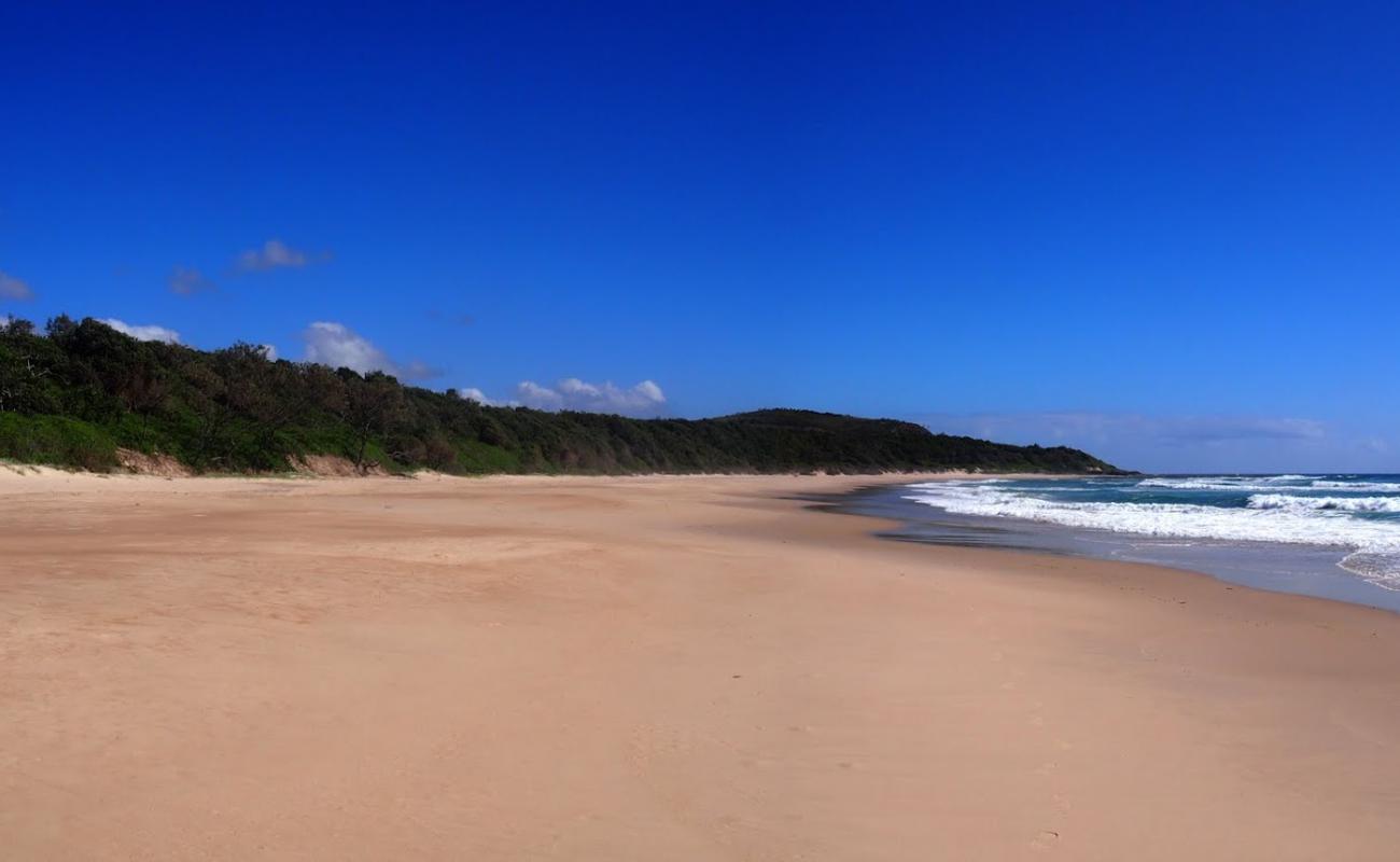 Little Shelley Beach'in fotoğrafı parlak kum yüzey ile