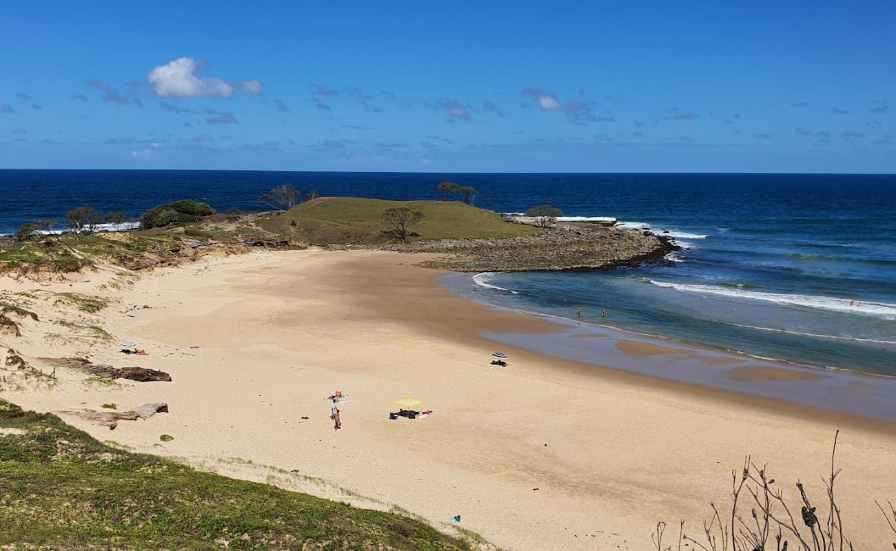 Angourie Back Beach'in fotoğrafı açık bej kum yüzey ile