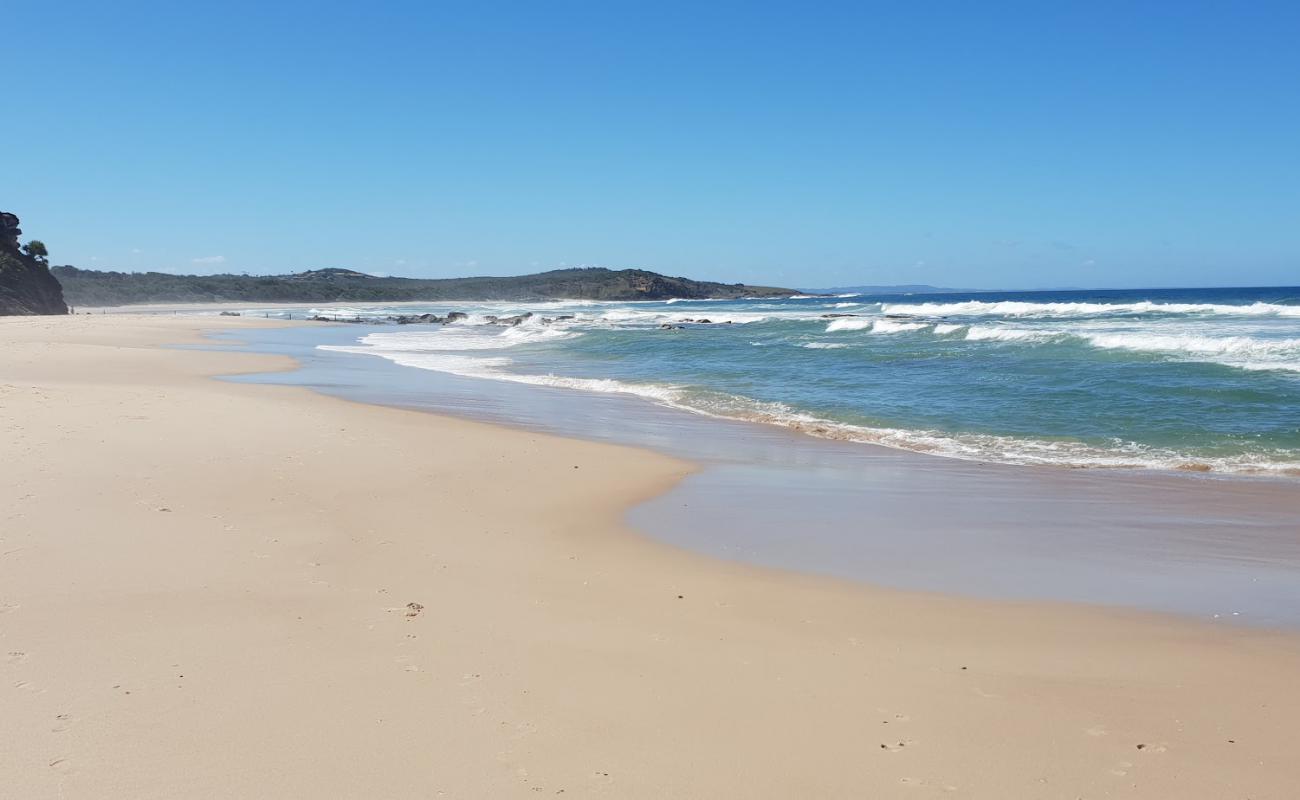 New Zealand Beach'in fotoğrafı parlak kum yüzey ile