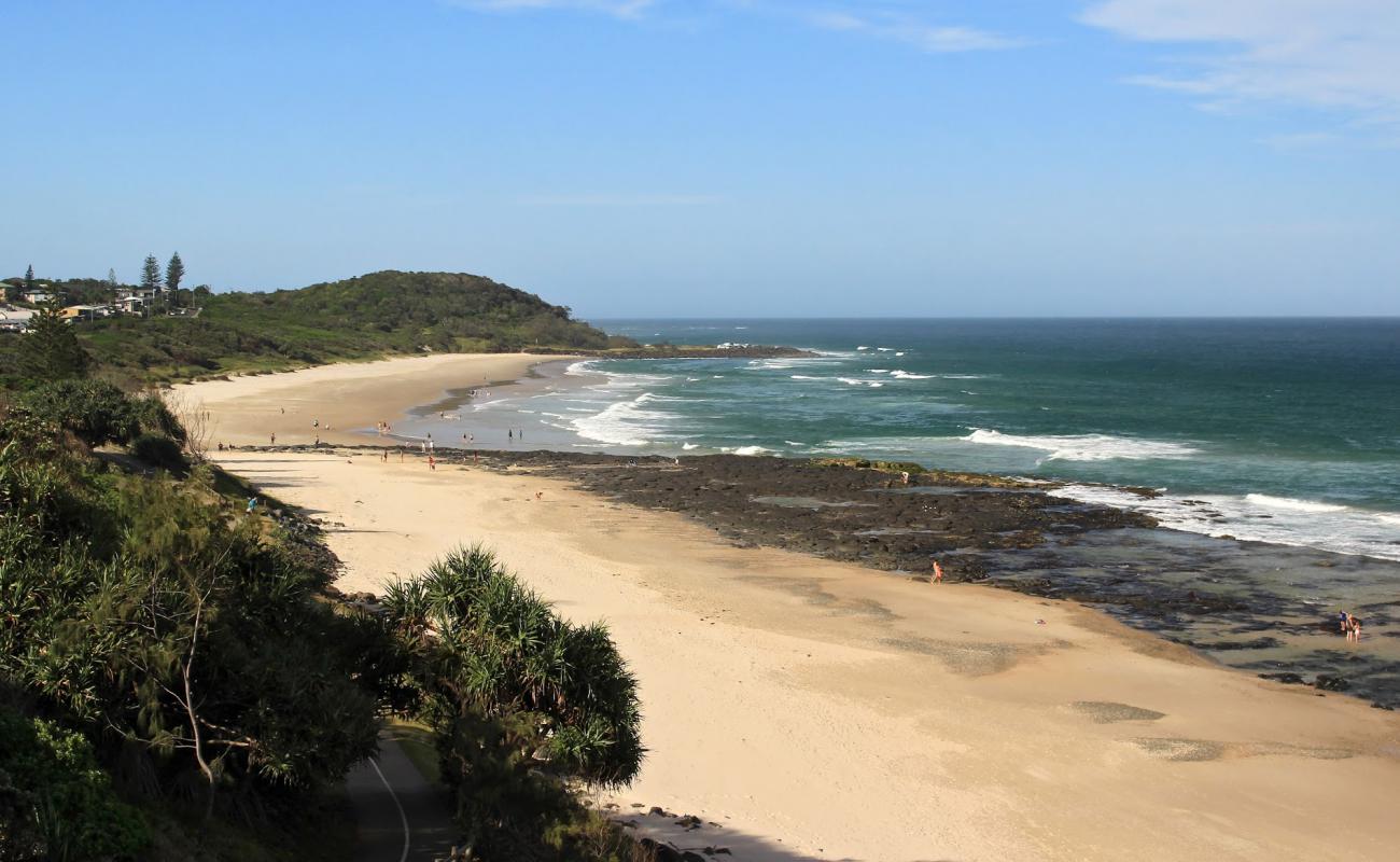 Shelly Beach'in fotoğrafı parlak kum yüzey ile