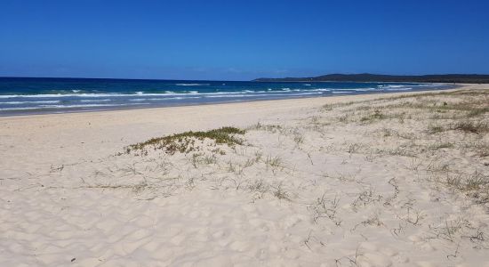 Minjerribah Camping Beach