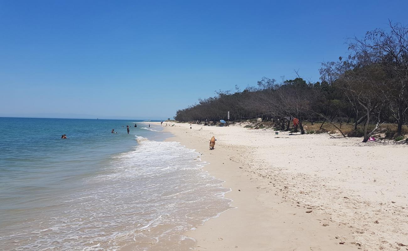 Red Beach'in fotoğrafı i̇nce bej kum yüzey ile