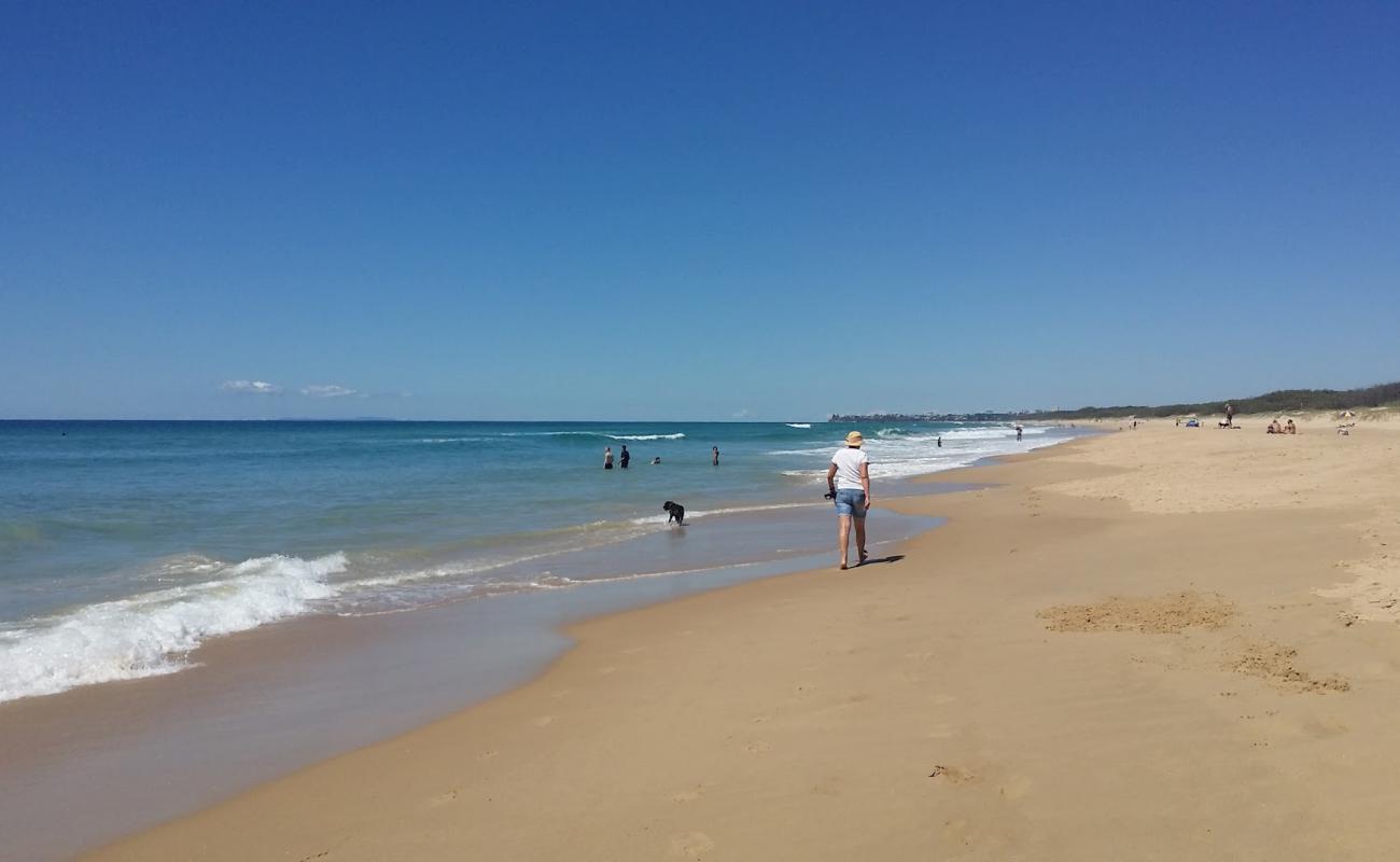 Dog & Cat Beach'in fotoğrafı açık bej kum yüzey ile