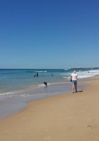 Sunshine Coast Bölgesi