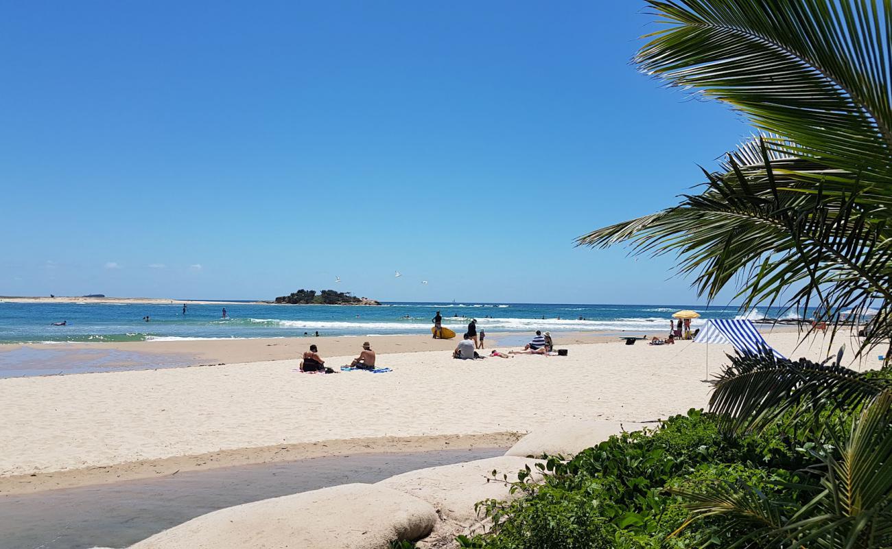 Cotton Tree Beach'in fotoğrafı açık bej kum yüzey ile