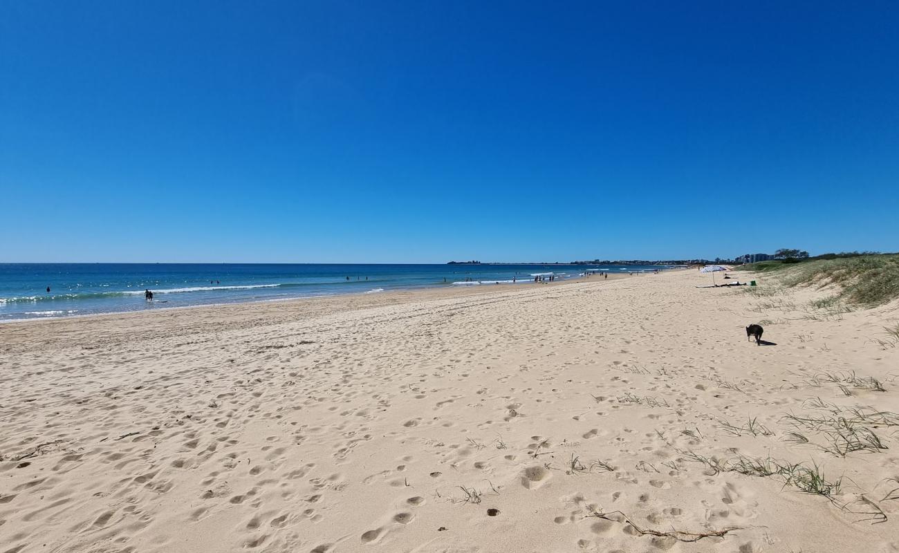 Mudjimba Beach'in fotoğrafı i̇nce bej kum yüzey ile