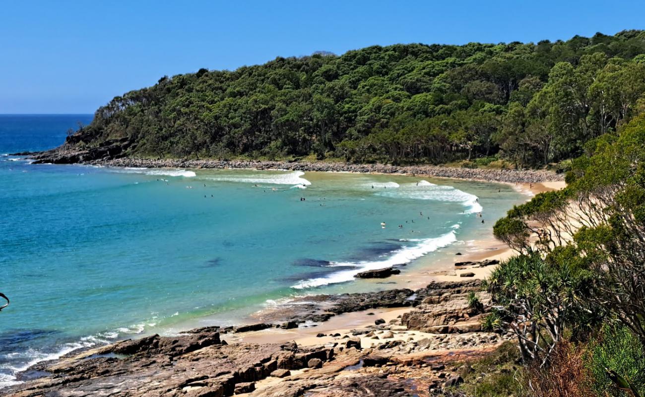 Tea Tree Bay Beach'in fotoğrafı parlak kum yüzey ile