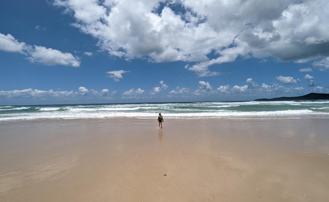 Noosa North Shore Beach'in fotoğrafı parlak kum yüzey ile