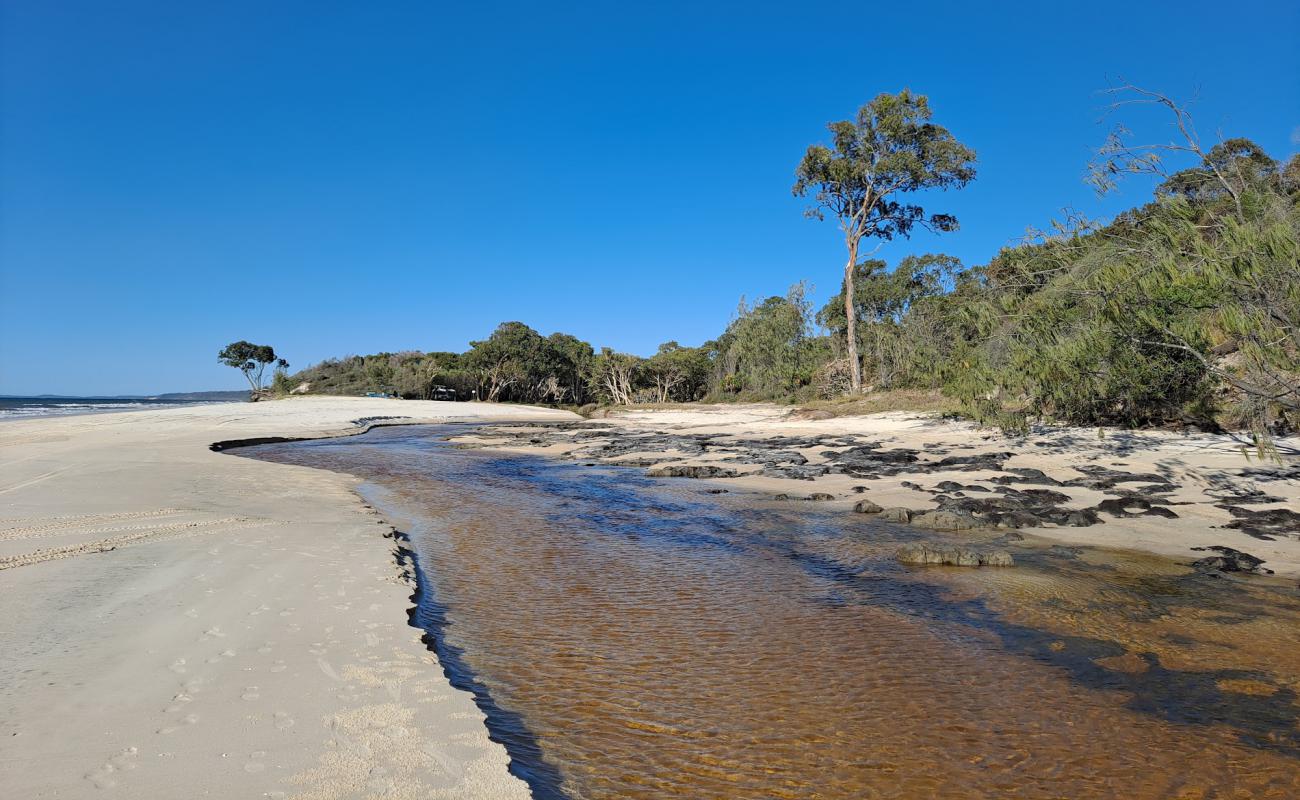 Bowarrady Creek Beach'in fotoğrafı parlak kum yüzey ile