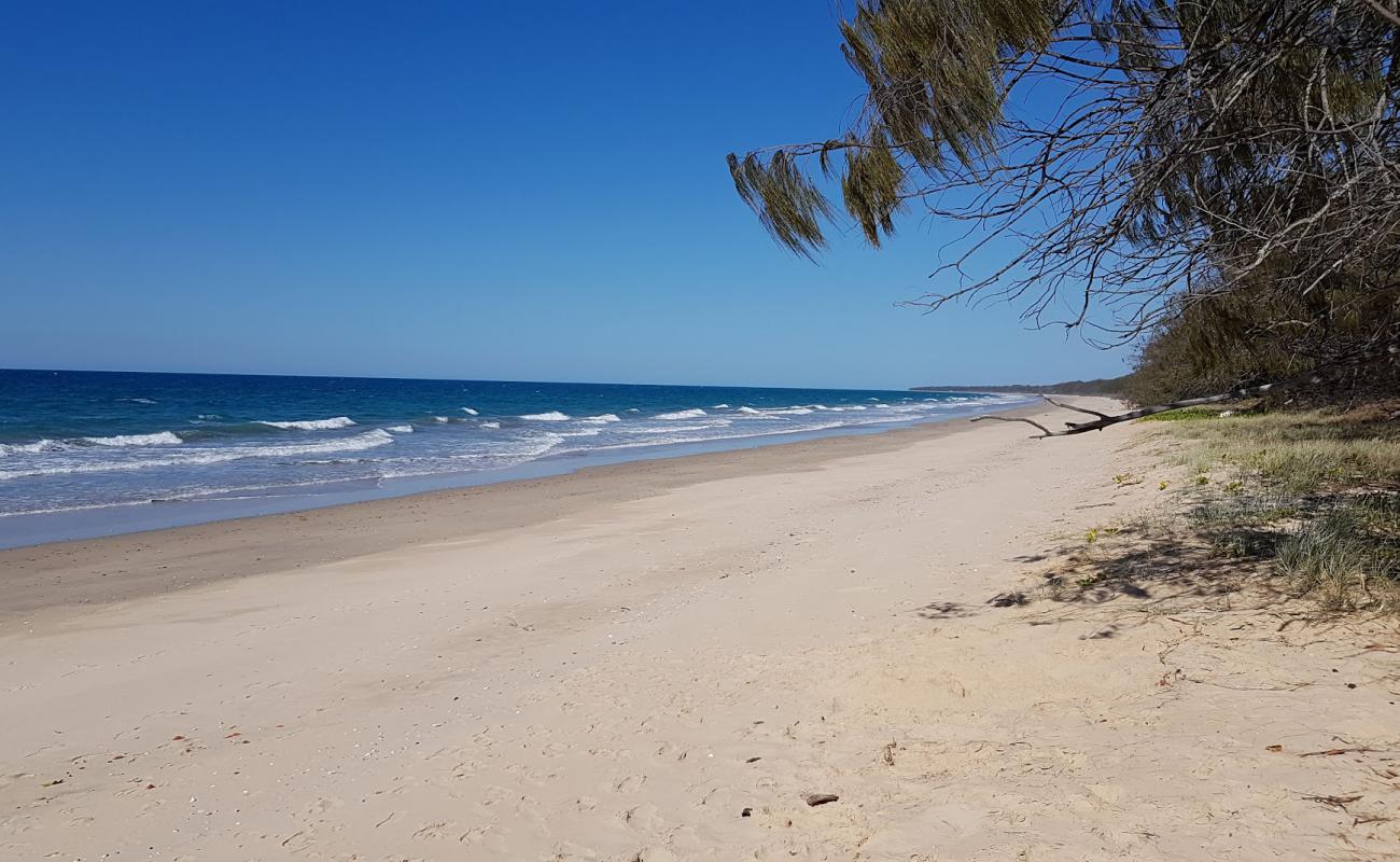 Woodgate Beach'in fotoğrafı açık bej kum yüzey ile