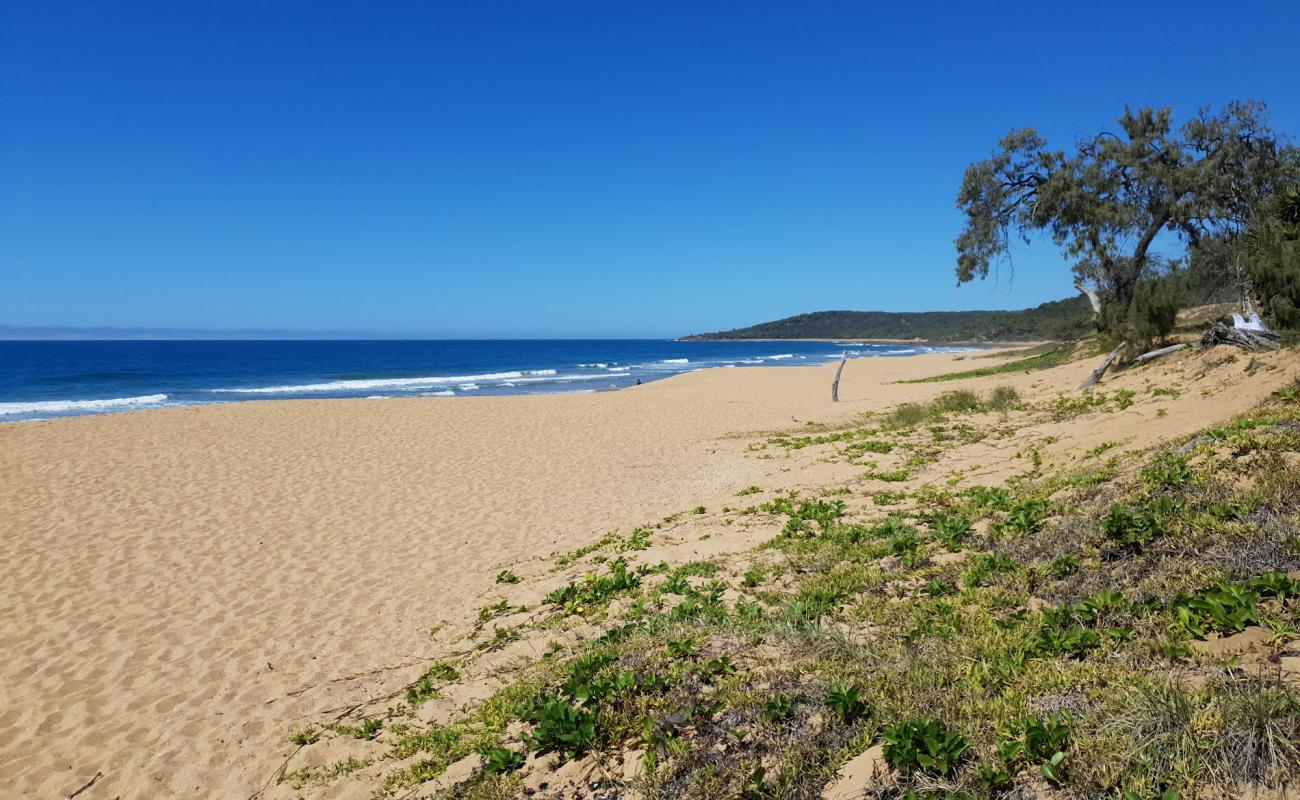 Chinaman's Beach'in fotoğrafı parlak kum yüzey ile