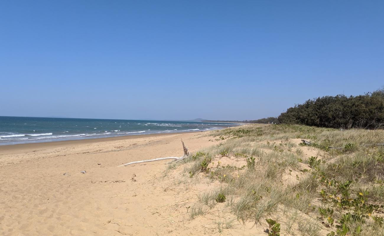 Wild Cattle Beach'in fotoğrafı açık bej kum yüzey ile