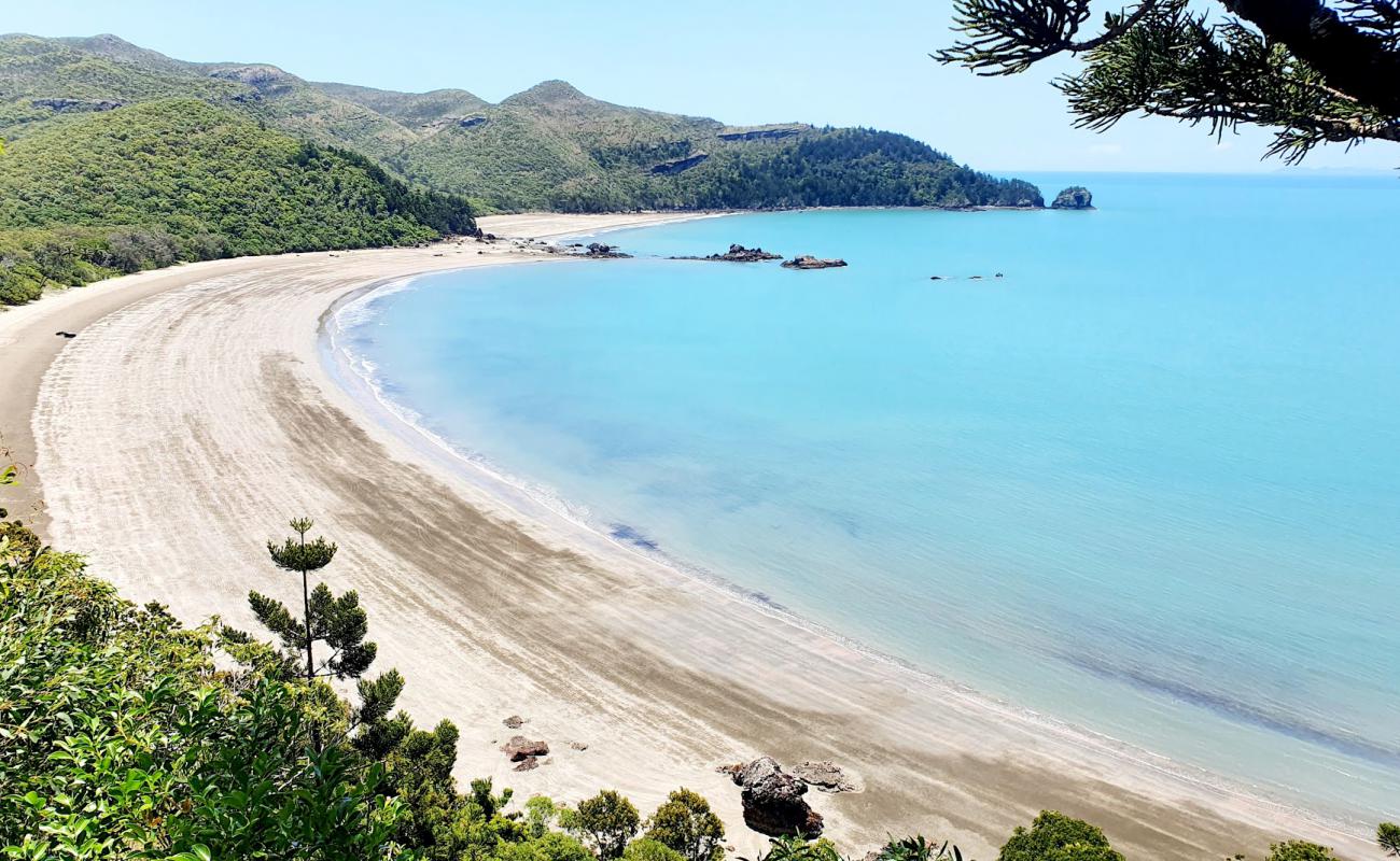 Cape Hillsborough Beach'in fotoğrafı açık bej kum yüzey ile