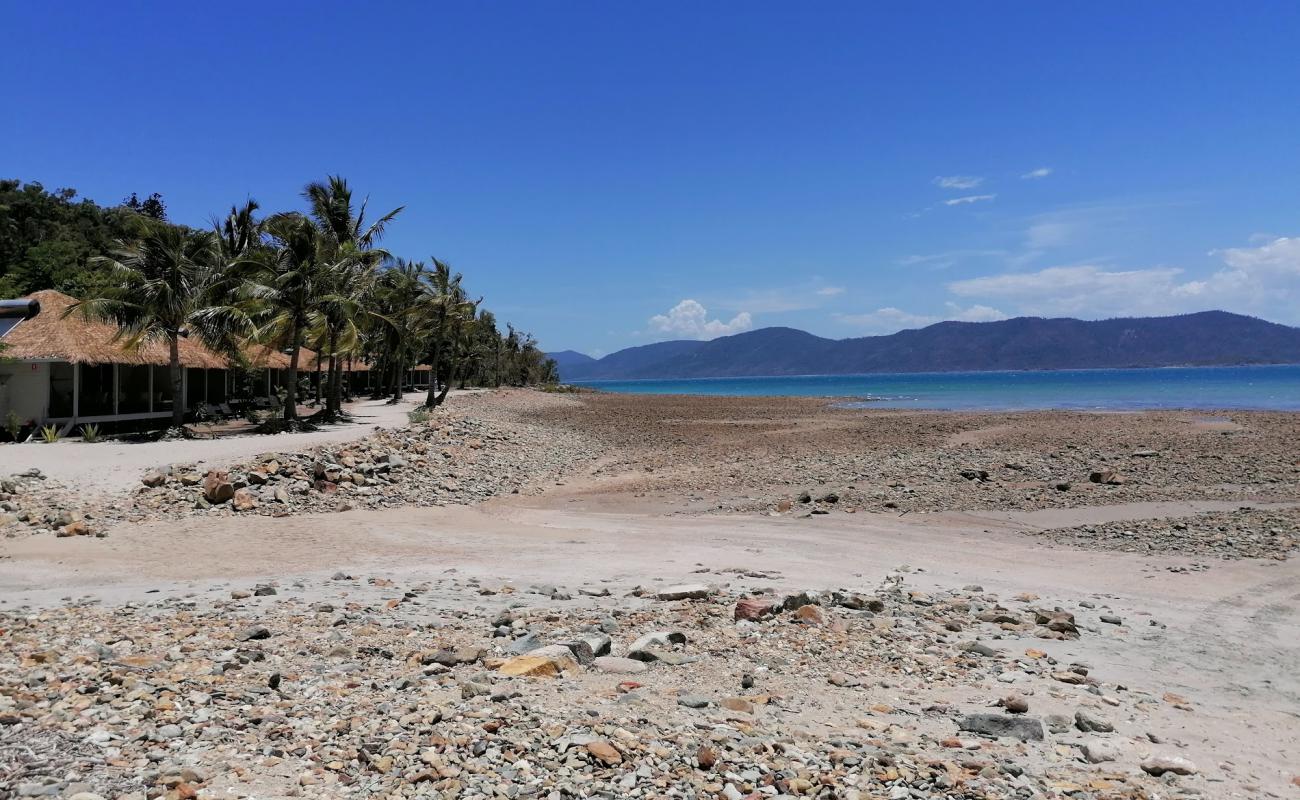 Long Island Beach'in fotoğrafı parlak kum ve kayalar yüzey ile