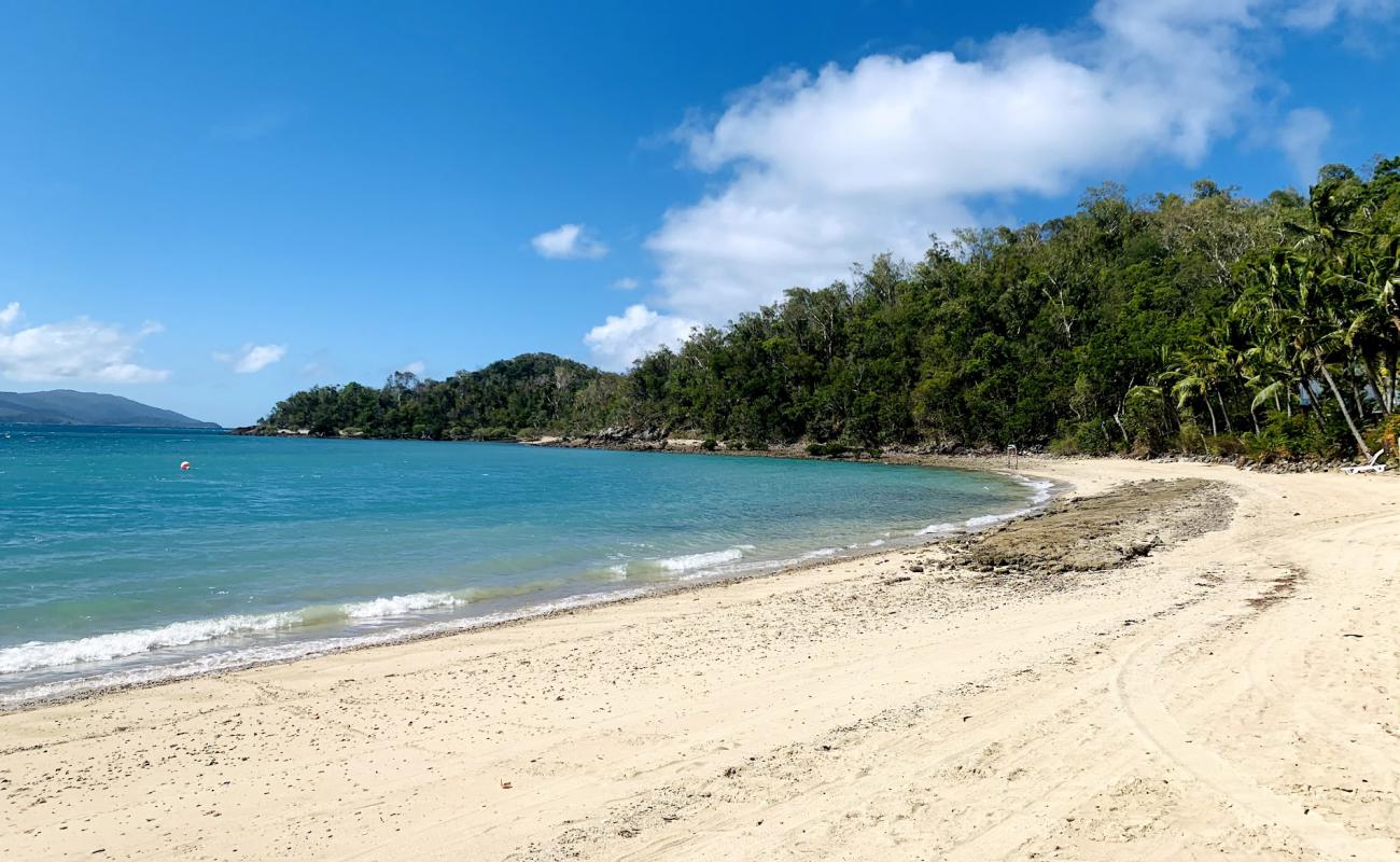 Palm Bay Beach'in fotoğrafı parlak kum yüzey ile