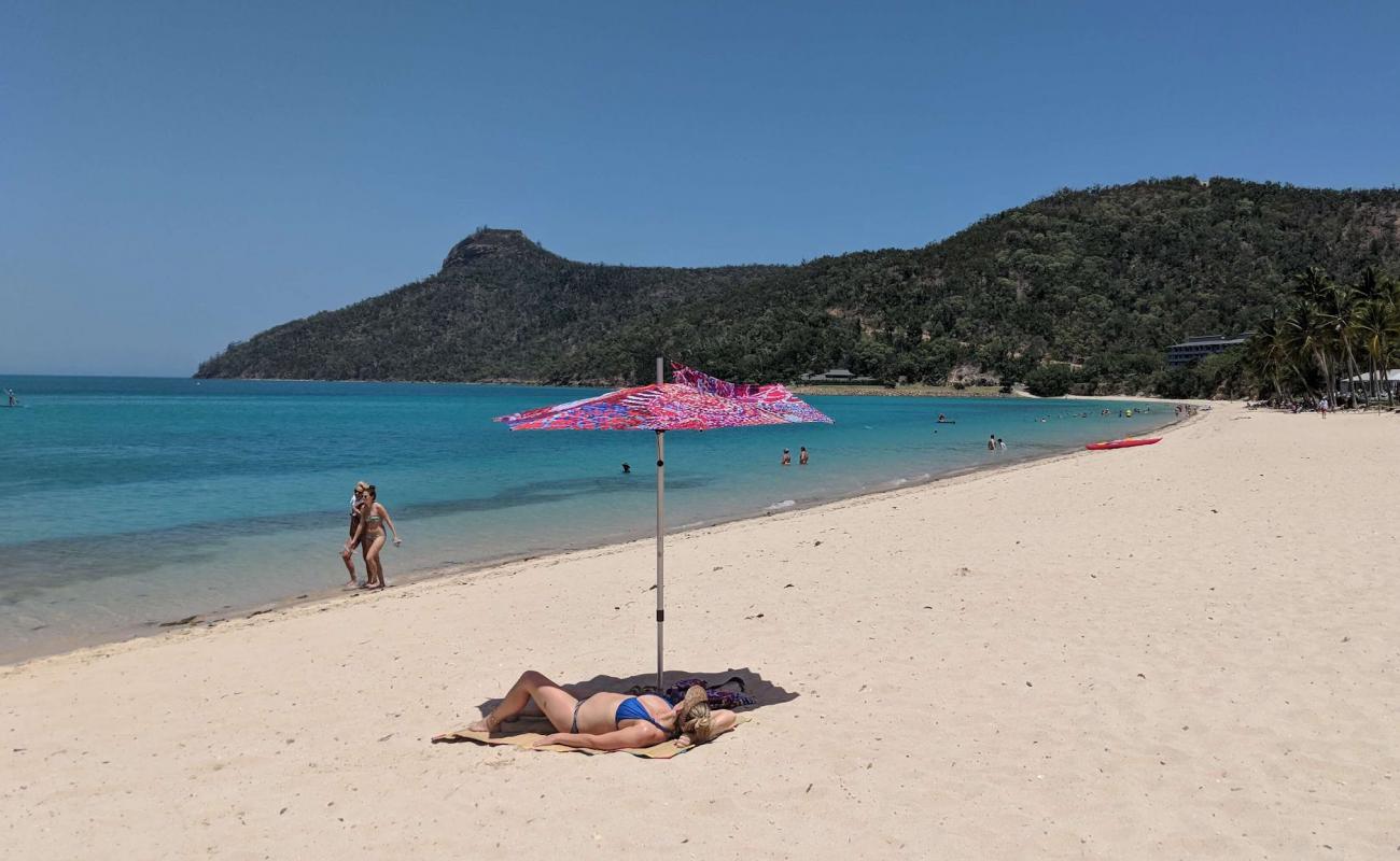 Kediler Plajı'in fotoğrafı parlak kum yüzey ile