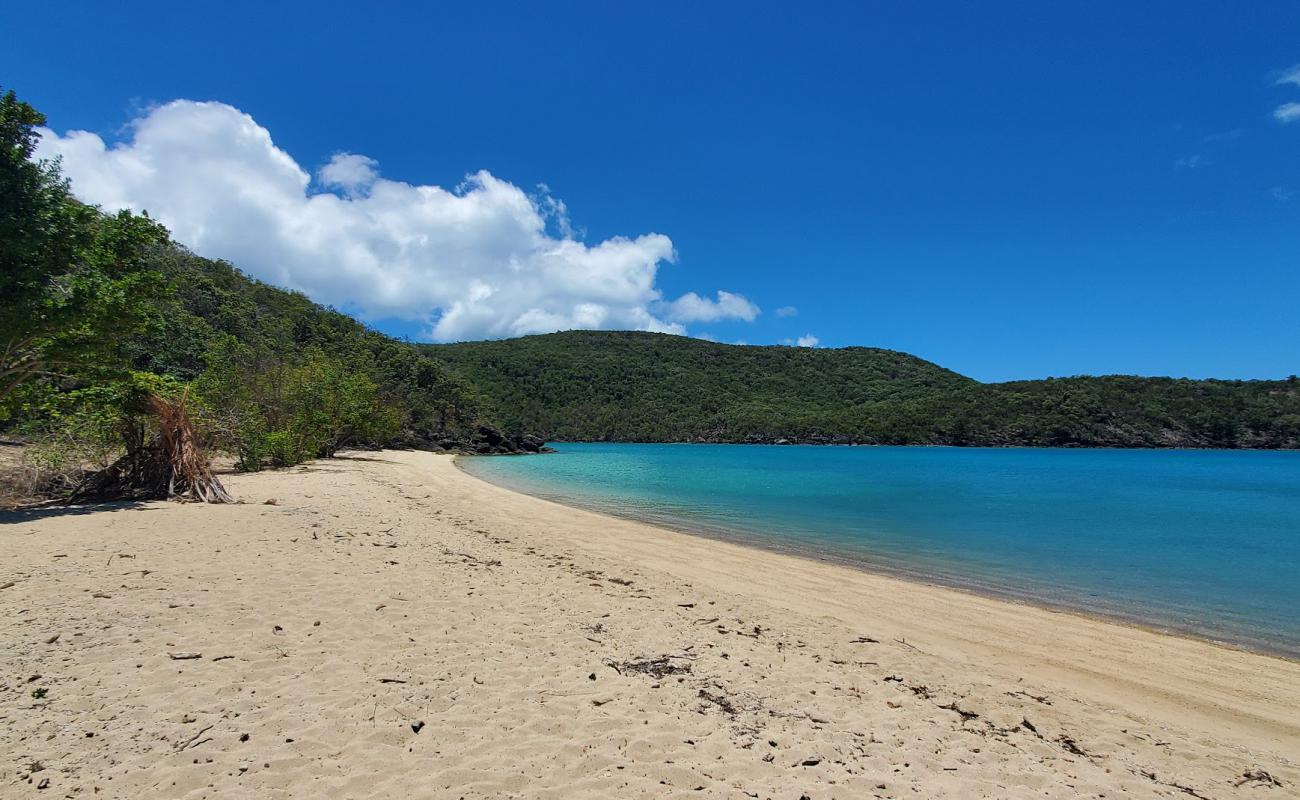 Coral Cove Beach'in fotoğrafı parlak kum yüzey ile