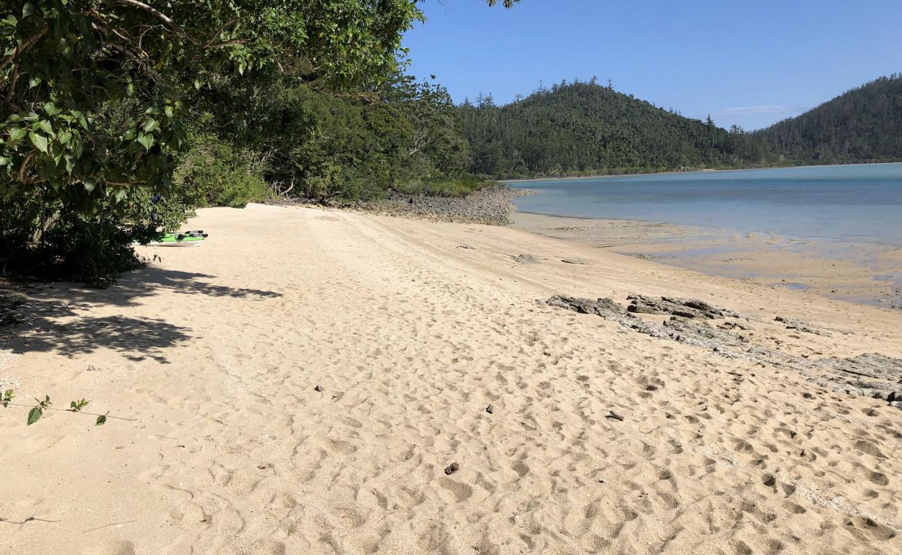 Joes Beach'in fotoğrafı parlak kum yüzey ile