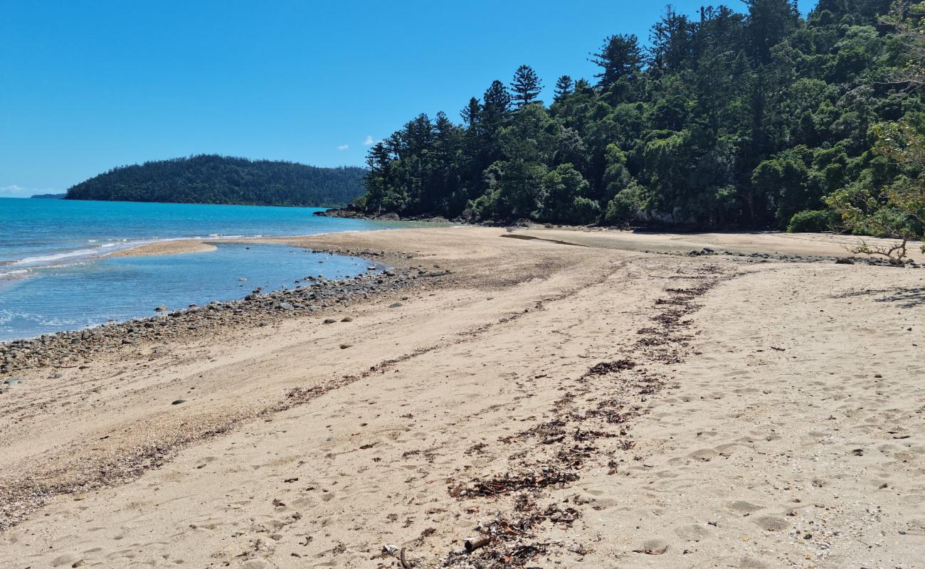 Sawmill Beach'in fotoğrafı parlak kum yüzey ile