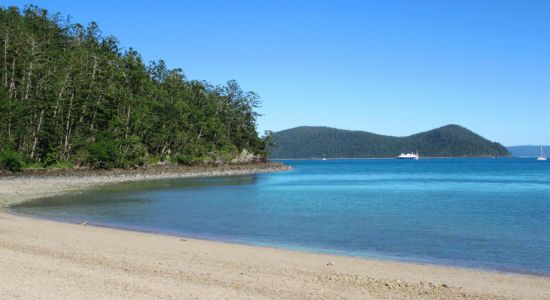 Dugong Beach