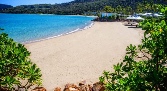 Hayman Island Beach