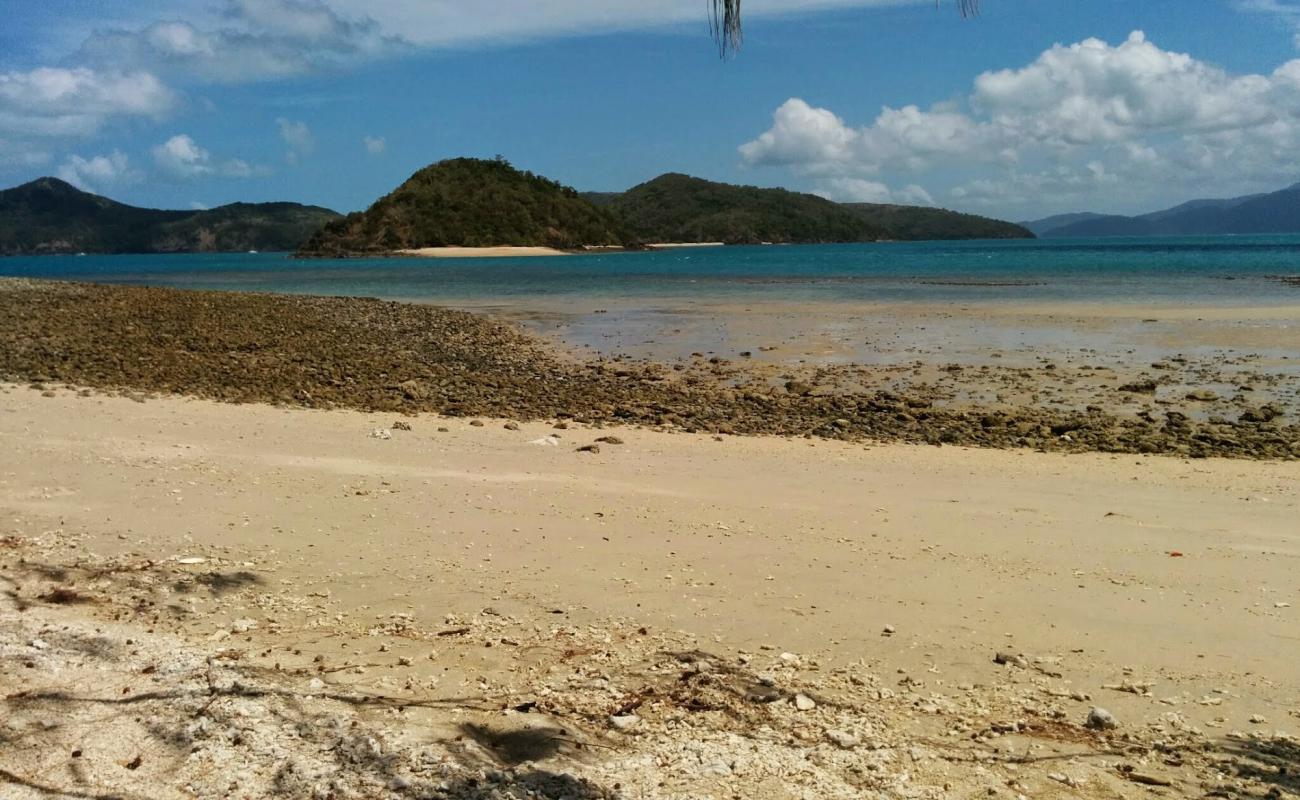 Cockatoo Beach'in fotoğrafı parlak kum yüzey ile