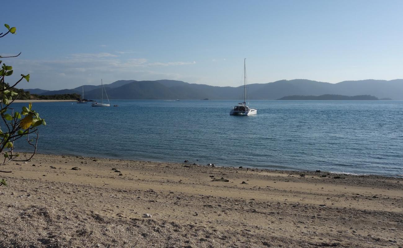 Sandy Bay'in fotoğrafı parlak kum ve kayalar yüzey ile