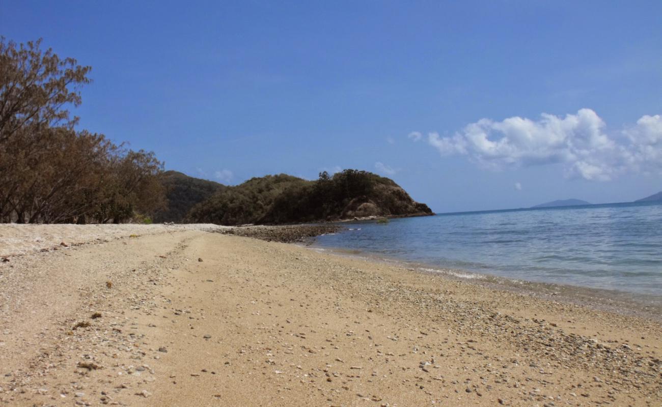 Paddle Bay Beach'in fotoğrafı taşlı kum yüzey ile