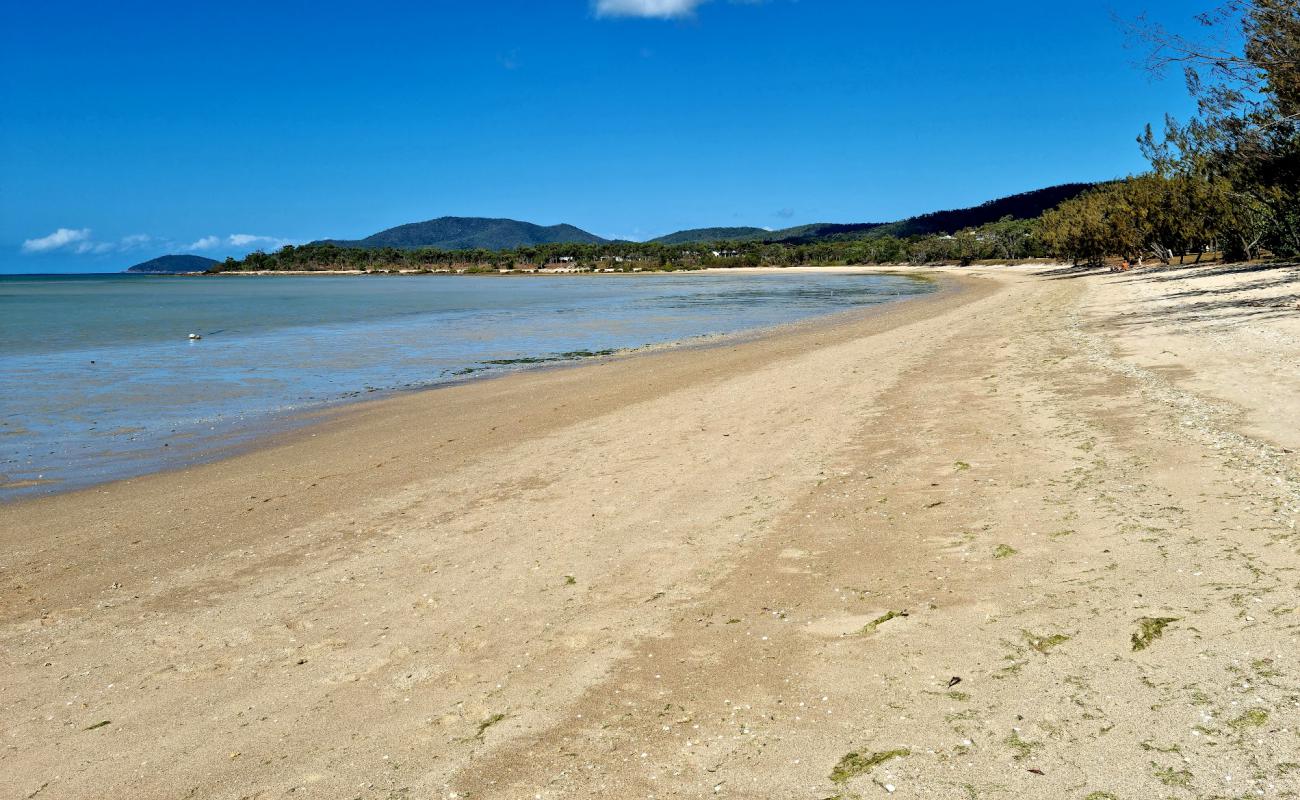 Dingo Beach'in fotoğrafı parlak kum yüzey ile