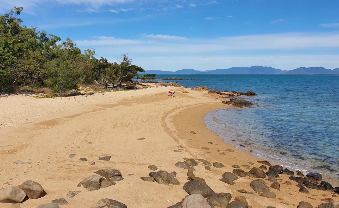 Froggies Beach'in fotoğrafı açık bej kum yüzey ile