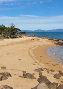 Whitsunday Bölgesi