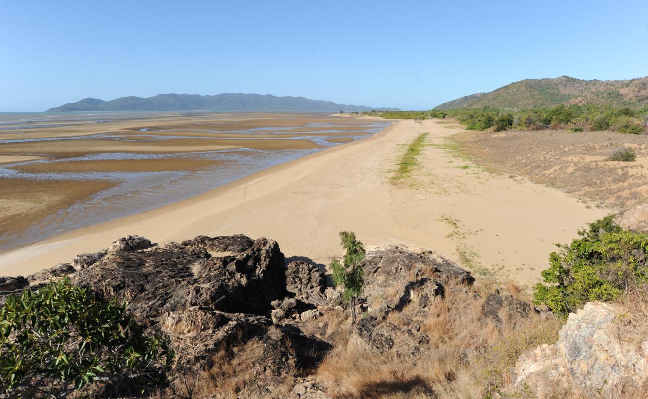 Shelly Beach'in fotoğrafı açık bej kum yüzey ile