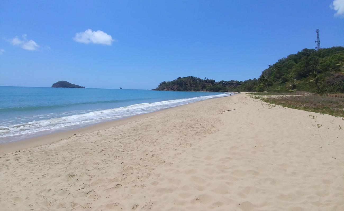 Buchans Point Beach'in fotoğrafı parlak kum yüzey ile