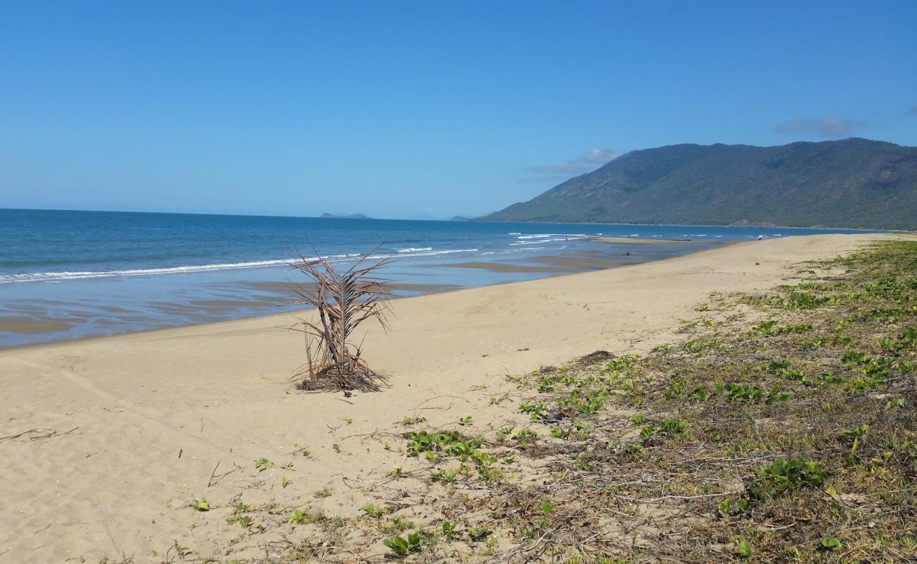 Wangetti Beach'in fotoğrafı açık bej kum yüzey ile