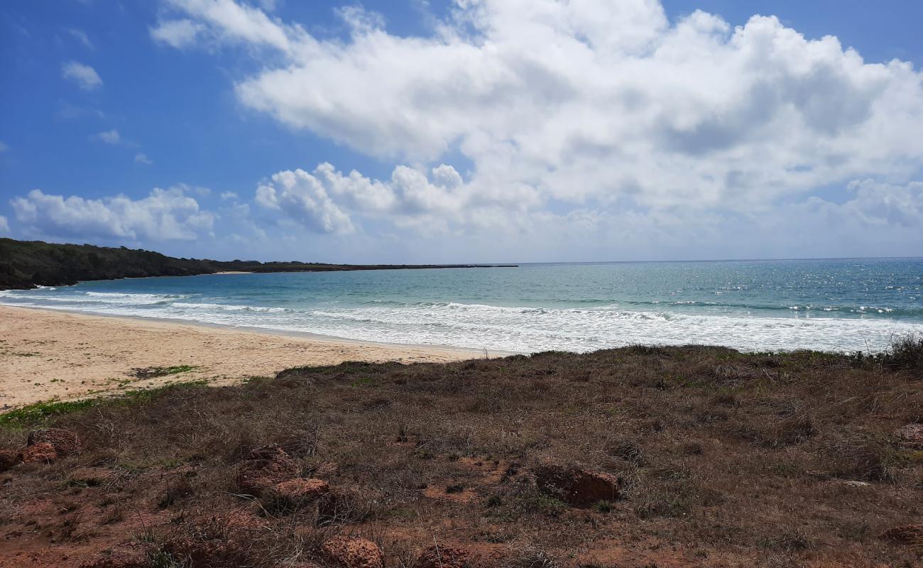 Macassan Beach'in fotoğrafı açık bej kum yüzey ile