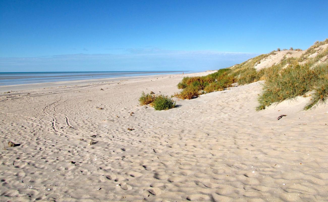 Ninety Mile Beach'in fotoğrafı açık bej kum yüzey ile